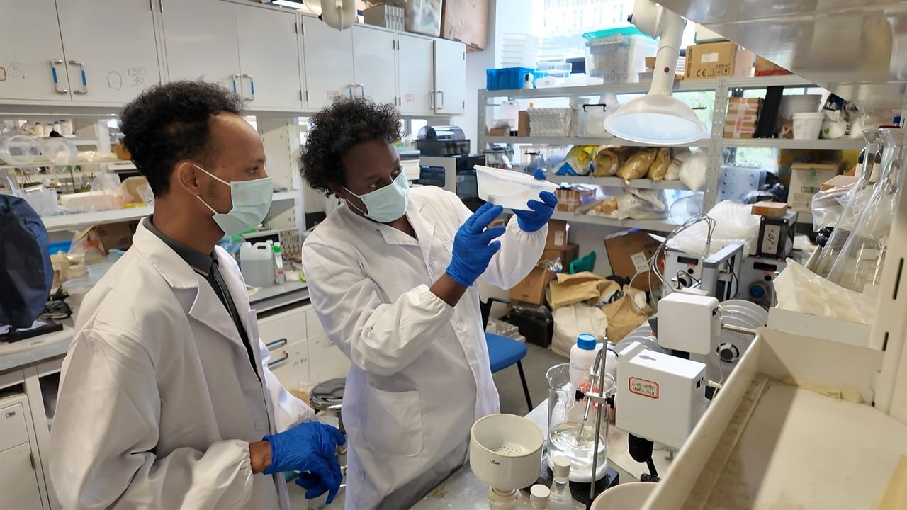 Researchers examining prepared material in the laboratory